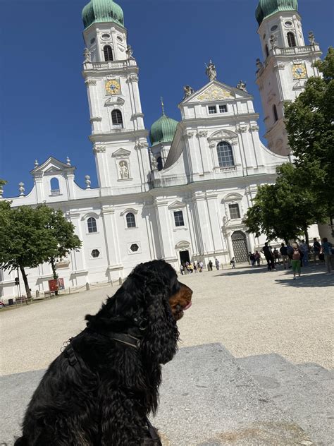 die pummerin barangolj belloval
