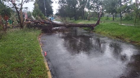 Lluvias Causan Inundaciones Y Caída De árboles Al Norte De La Capital