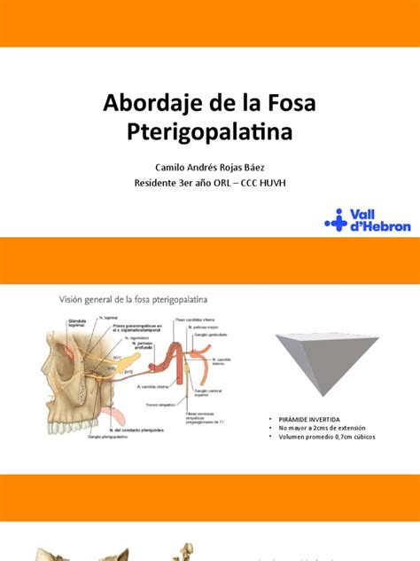 Abordaje De La Fosa Pterigopalatina Pdf Cabeza Y Cuello Humanos