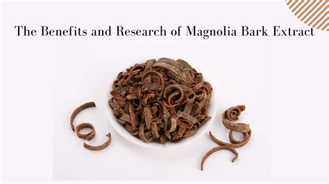 The Benefits of Magnolia Bark Extract - Xi'an Herb Bio