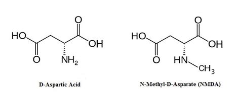 Research Breakdown On D Aspartic Acid Examine