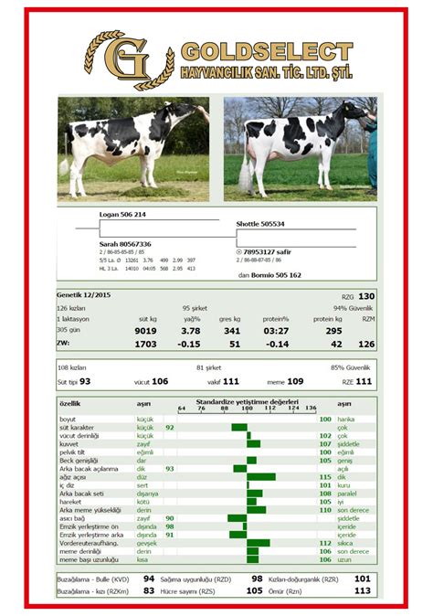 Holstein Goldselect Hayvancılık