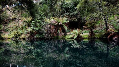 Blue Lagoon Jenolan Caves Lake Nsw Australia Mariano Mantel Flickr