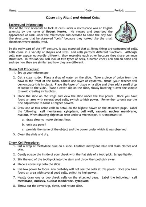 Lab Observing Plant And Animal Cells