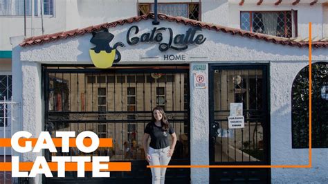 Conoc As El Caf De Gatos Gato Latte Vive Esta Experiencia Pet