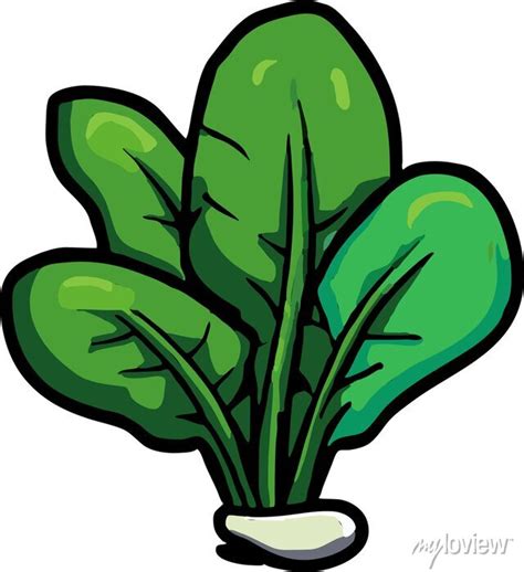 Spinach Png Graphic Clipart Design • Wall Stickers Sticker Transparent