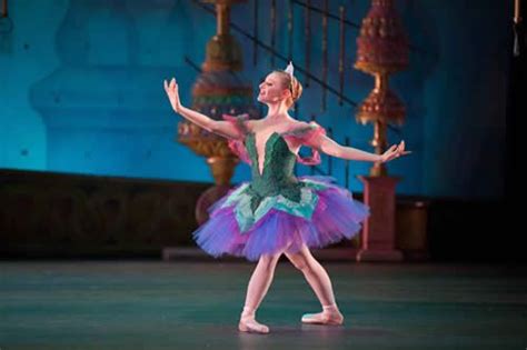 Pin By Karen Goument On Ballet Dance Pictures Ballet Costumes