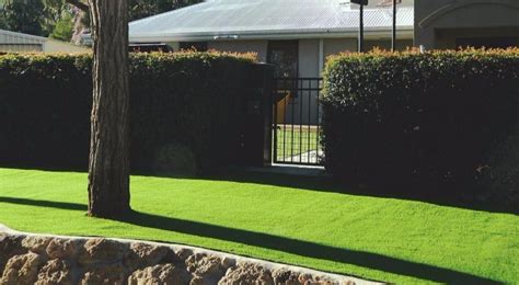 Gallery Wa Turf Gurus Artificial Grass Specialist Perth