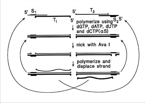 Sda Cycle Sda Starts With A Target Generation Step During Which Target