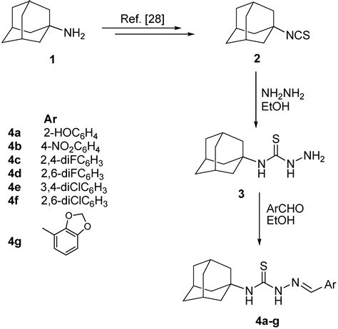 Molecules Free Full Text Synthesis Antimicrobial And Anti Proliferative Activities Of