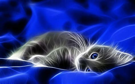 Blue Cat Wallpapers - Top Free Blue Cat Backgrounds - WallpaperAccess