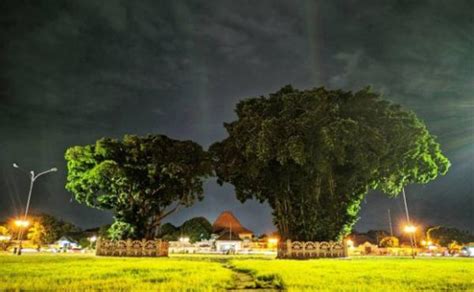 Sejarah Alun Alun Kidul Jogja Dulu Jadi Tempat Latihan Prajurit Keraton