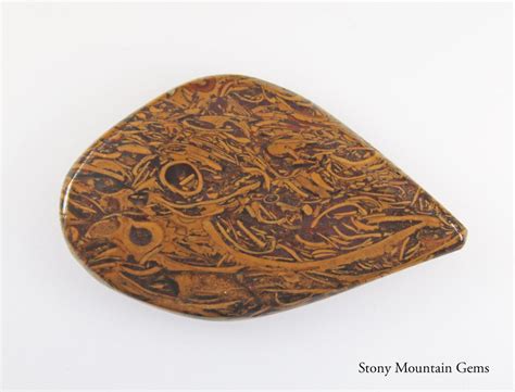 Script Jasper Designer Cabochon Rare Coquina Jasper Cabochon Print