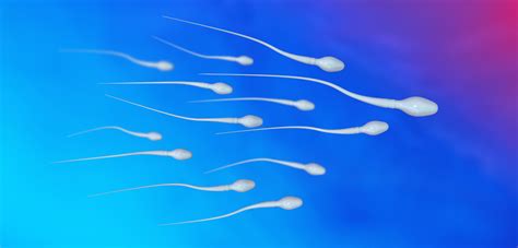 How to Increase Sperm Motility