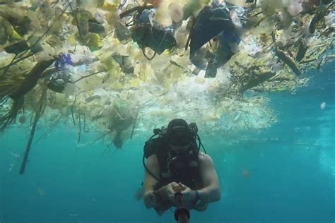 Diver Films Wave Of Plastic Pollution Off Bali On Scale Never Seen