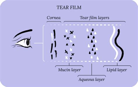 3 Types Of Eye Warm Compresses Corneacare