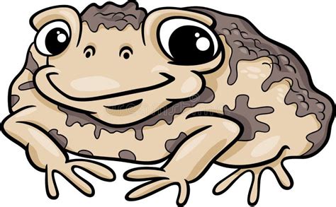 Toad Amphibian Cartoon Illustration Stock Vector Illustration Of