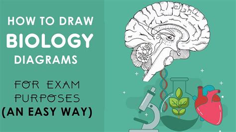 How To Make Biology Tutorial