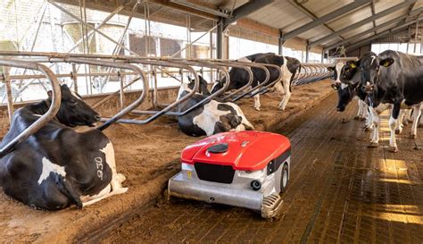 Nouveau Discovery Collector Lely