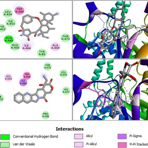 Molecular Interactions Of The Docked Complexes A Gkk1032a2 Docked In