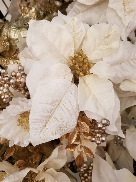 Poinsettia Christmas Christmas Flowers Gold Gold Christmas Holiday