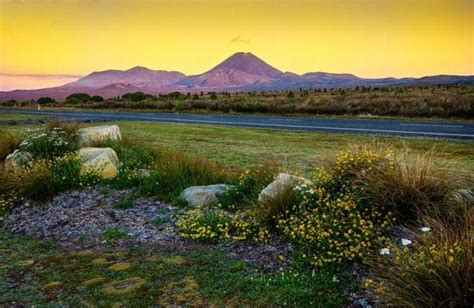 The Most Scenic Drives On New Zealand North Island