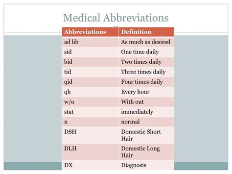 Ppt Veterinary Terminology Powerpoint Presentation Free Download Id1952503