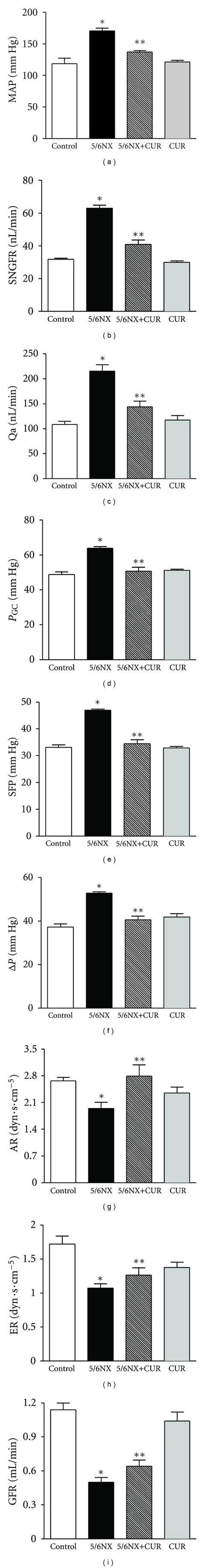 Curcumin 60 Mg Kg Day Ameliorated 5 6nx Induced Alterations In Renal Download Scientific