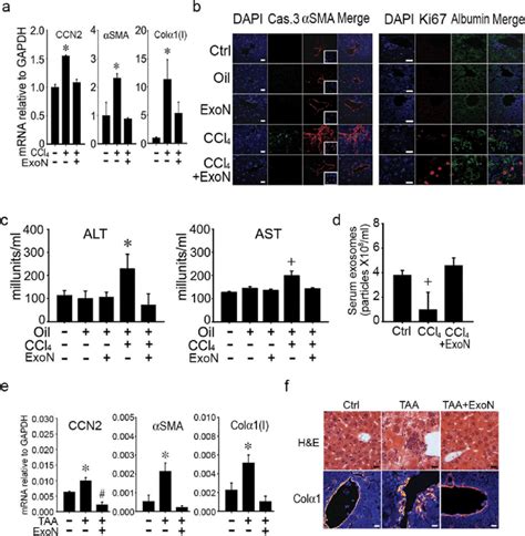 Normalization By Evn Of Hepatic Gene Expression Or Serum Components