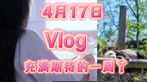 4月17日vlog。又是新的一周啊，今天周一，出口许可证依旧没查到，丫丫仍然在孟菲斯。这周会有意料之中的惊喜吗？充满期待的一周呀！陪丫丫一起