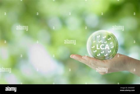 Growing Sustainability Lca Life Cycle Assessment Concept Assessing