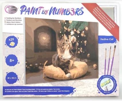 Schoenes Fuer Jeden De Craft Buddy PBN012 Painting By Numbers Framed