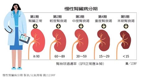 腎臟有問題，一定要「洗腎」嗎？慢性腎臟病分5期關於「腎臟病」你不懂的事，醫師全解析 良醫健康網