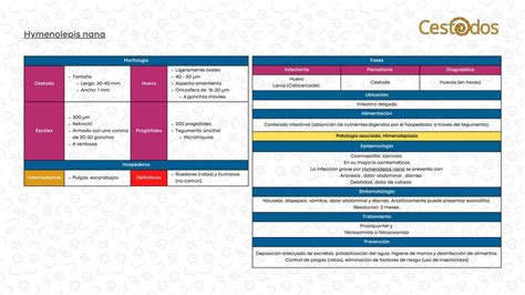 Hymenolepis Nana Flashcard DoDoctor UDocz