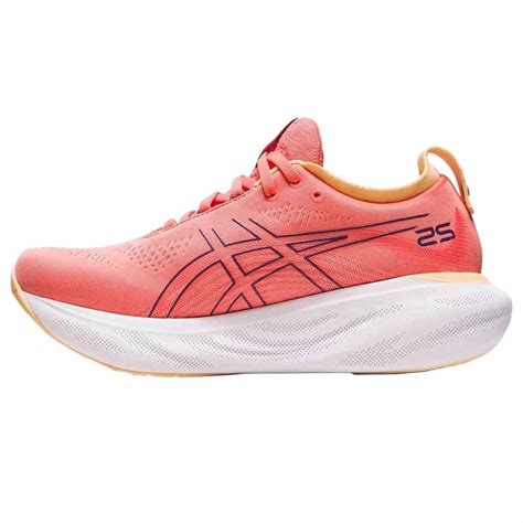 Tênis Asics Gel Nimbus 25 Feminino 1012B356 700 Ativa Esportes