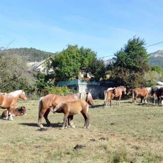 Visiter Seyne Les Alpes Un Village De Provence En Montagne