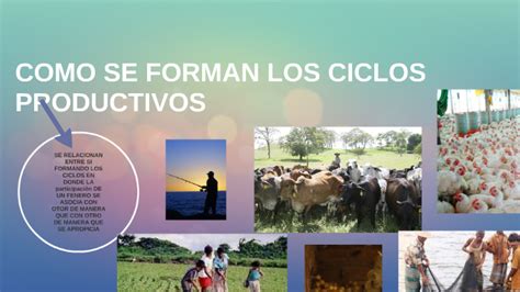 Como Se Forman Los Ciclos Productivos By Valentina Erazo