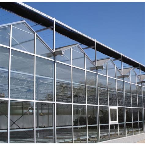 Multi Span Horticulture Greenhouse With Venlo Glass Technology China