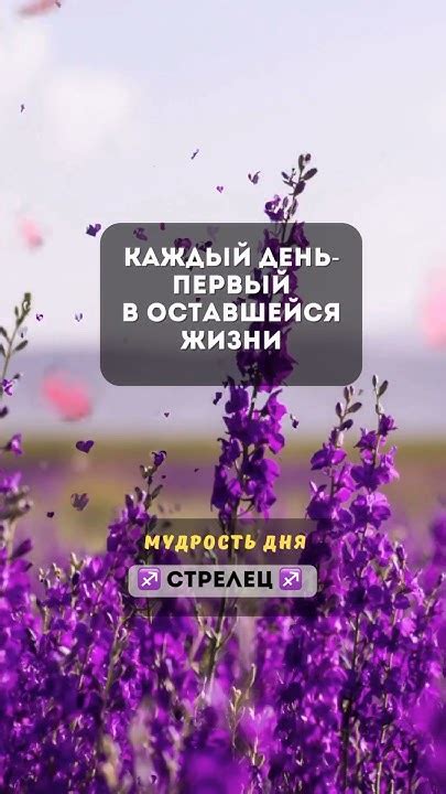 ♐️Стрелец ♐️ Новый день новые возможности☀️Мудрость дня🕊♒️Знак зодиака