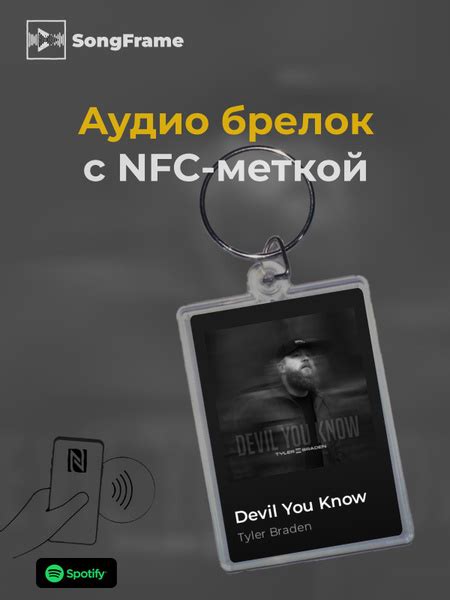 Брелок Spotify Tyler Braden Devil You Know NFC купить с доставкой