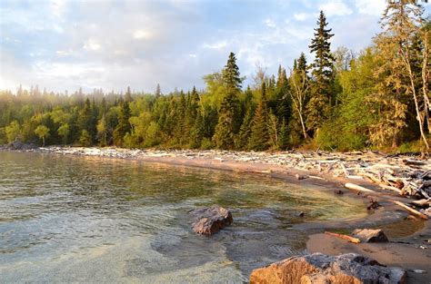 Boreal Forest As Seen From Neys Kopa Cove Trail Parks Blog