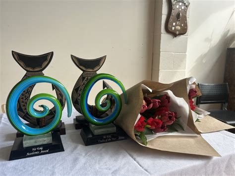 Inaugural Mptt Awards Held At Rehua Marae Hailed A Success Ara