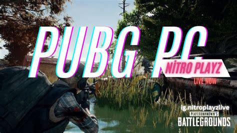 Live Pubg Pc Dominating The Battlegrounds Nitroplayzlive