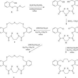 Scheme 2 Pathway B For The Synthesis Of Compounds 1 2 And 3