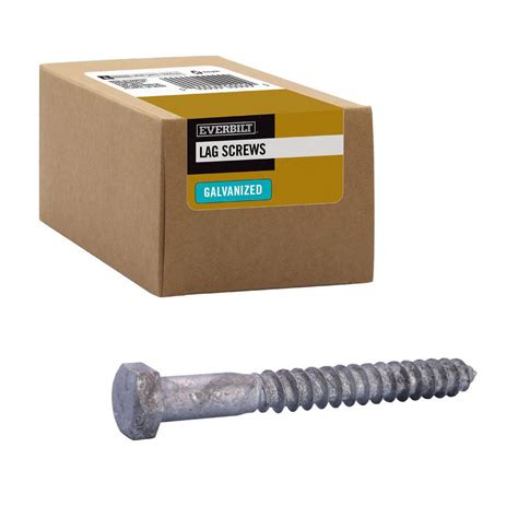 Everbilt In X In Hex Galvanized Lag Screw Pack