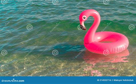 Piscina Rosa Flamingo Rosa Infl Vel Na Gua Azul Do Mar No Fundo Da