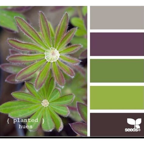 My Colors Design Seeds Color Schemes Color