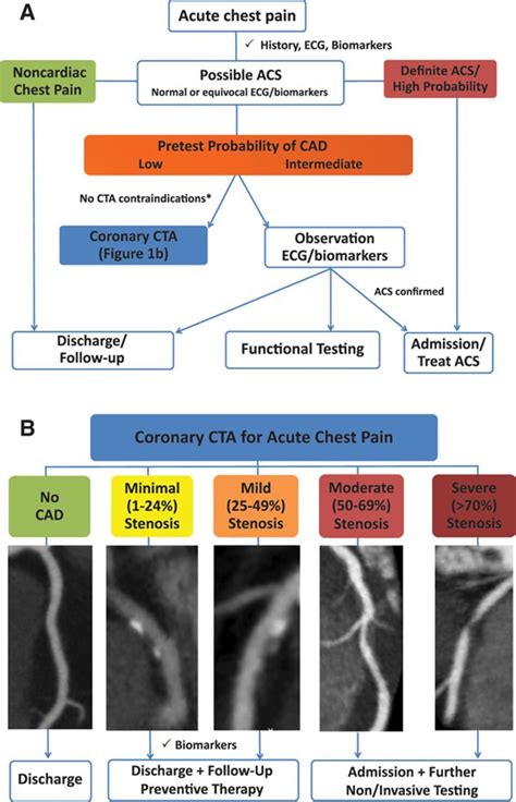 Coronary Computed Tomographic Angiography Circulation