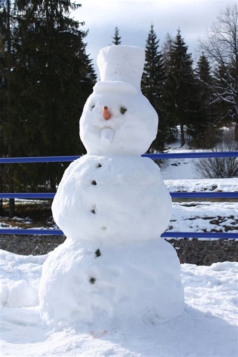 Boneco De Neve Real Engra Ado Grande No Inverno Foto De Stock Imagem