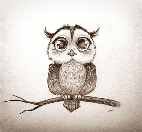 Baby Owl Sketch